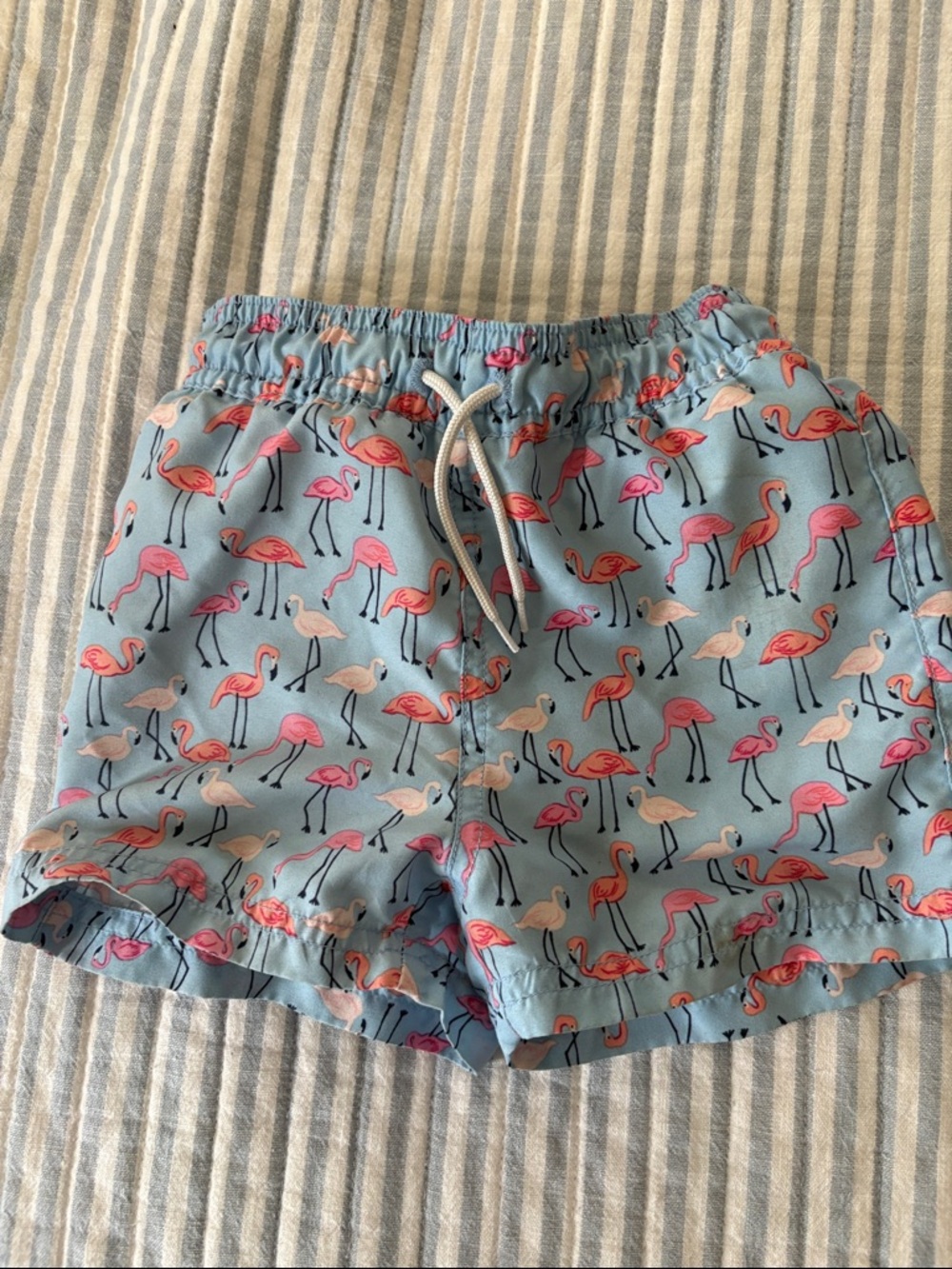 Janie and Jack 18-24mFlamingo Print Swim Shorts
